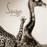 sauvages