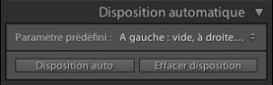 Le panneau Disposition automatique.