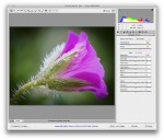 Camera Raw 8.1 RC