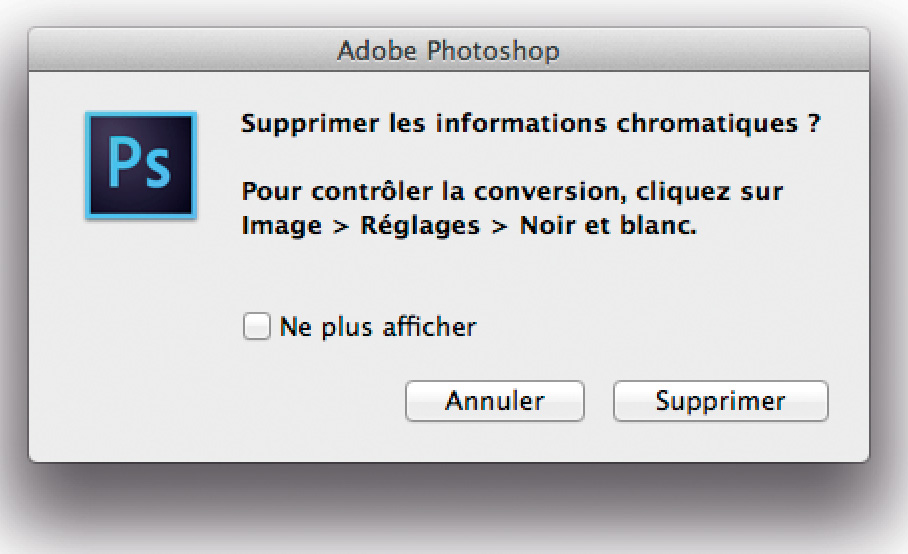 Photoshop : conversion d'image en noir et blanc