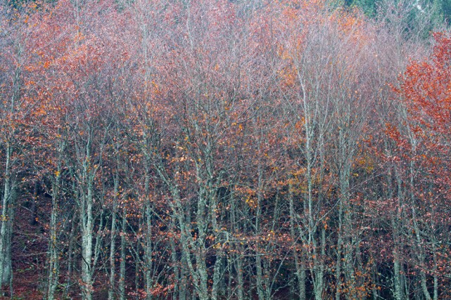 automne-17