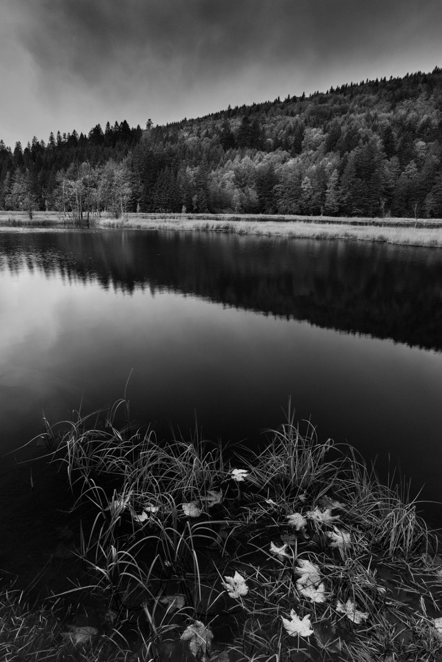 automne-23